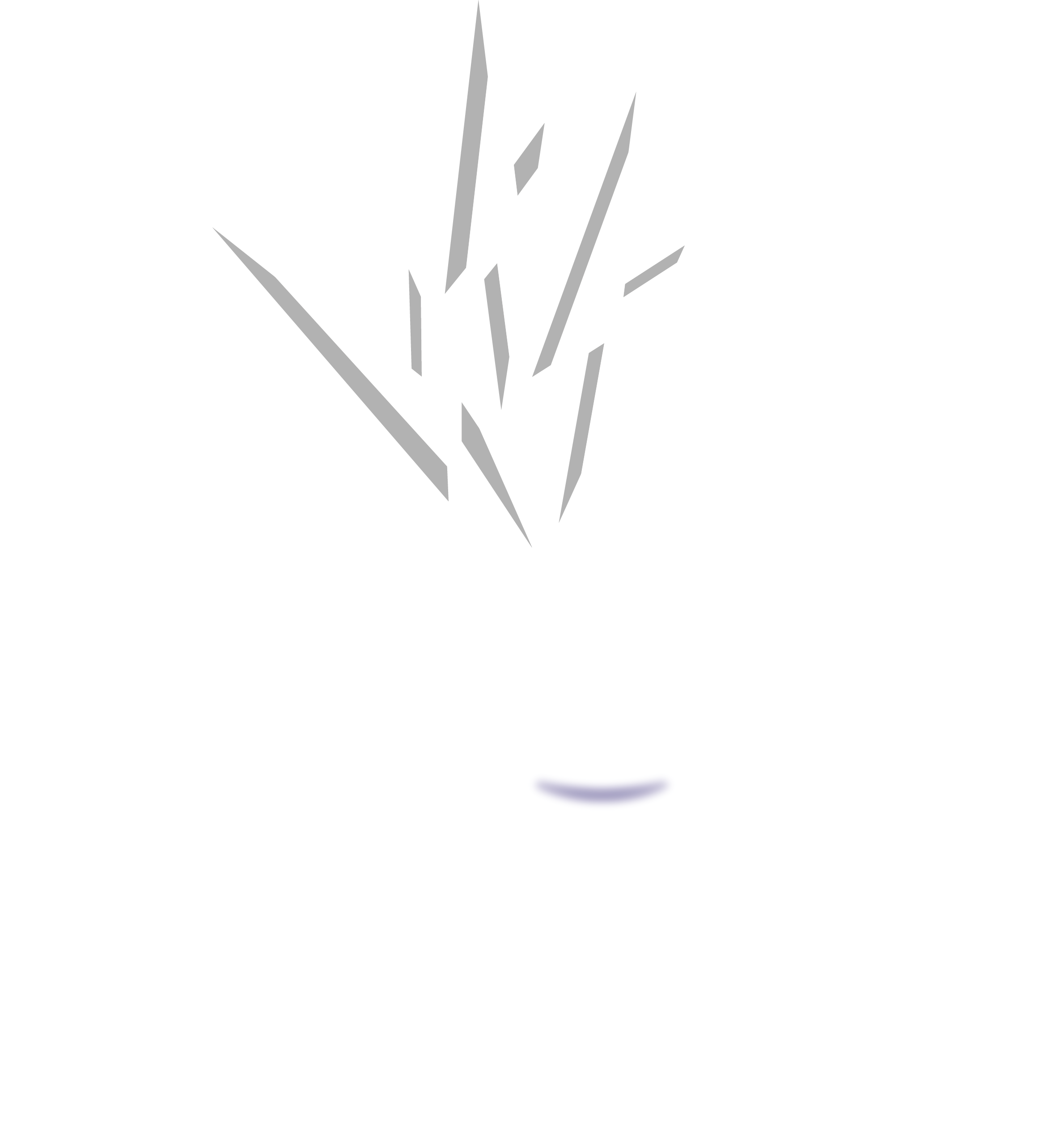 CASTRES HOCKEY CLUB